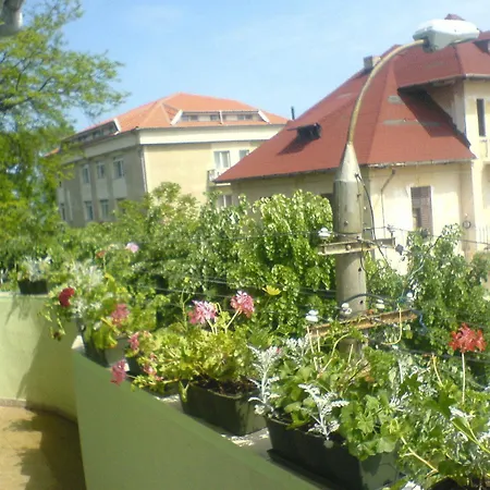 Paradox Movila ベッド・アンド・ブレックファスト